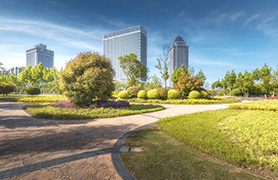 多媒体会议系统